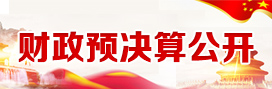 財政預(yù)決算公開